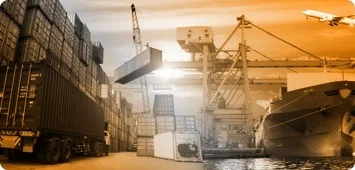 Nossa equipe inclui 2 especialistas em transporte que organizam e coordenam remessas aéreas e marítimas para nossos clientes. Eles trabalham ao lado de nossa equipe financeira, que lida com a documentação de exportação.< br>Temos relações de longo prazo com vários tipos de provedores de transporte, variando entre pequenos pacotes, como dropshipping, até 40′ contêineres iguais.